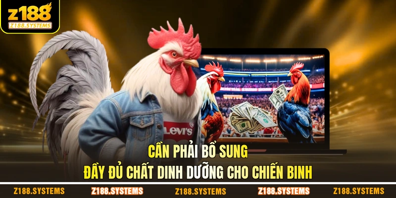 Cần phải bổ sung đầy đủ chất dinh dưỡng cho chiến binh Cần phải bổ sung đầy đủ chất dinh dưỡng cho chiến binh