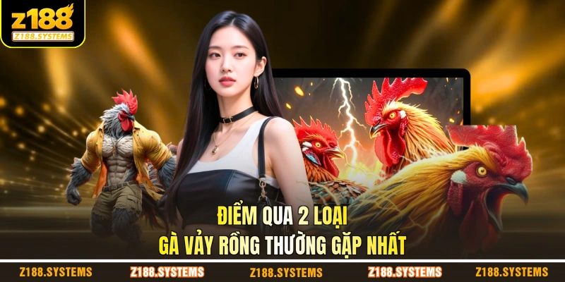 Điểm qua 2 loại gà vảy rồng thường gặp nhất Điểm qua 2 loại gà vảy rồng thường gặp nhất