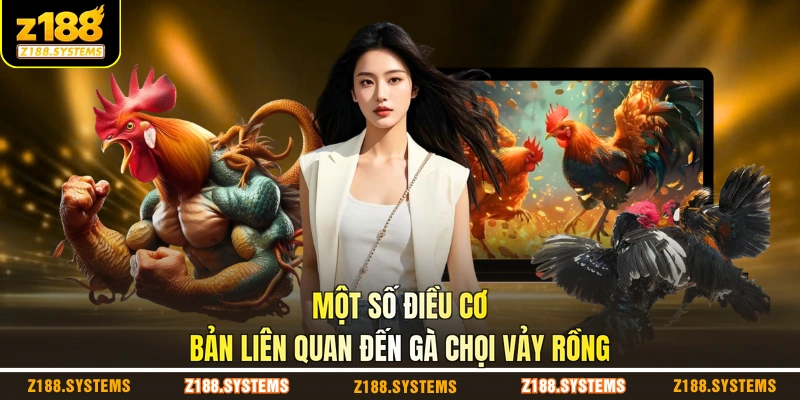 Một số điều cơ bản liên quan đến gà chọi vảy rồng Một số điều cơ bản liên quan đến gà chọi vảy rồng